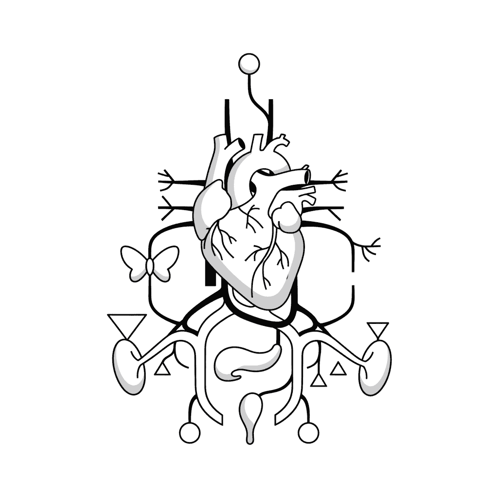 GI, endokrin & kardiovaskular illustration