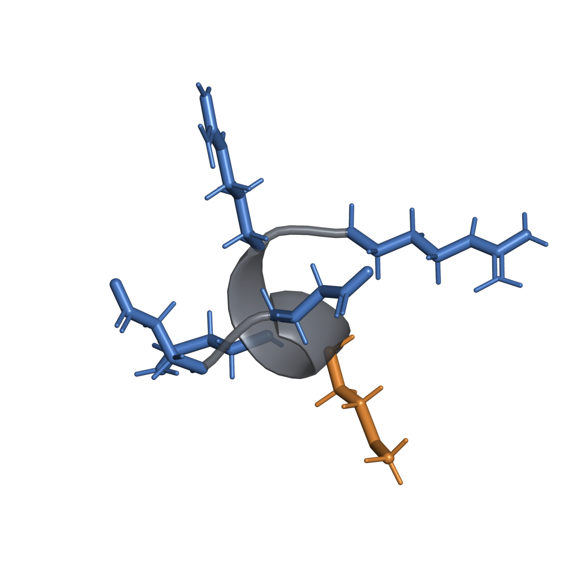 Penggambaran struktur ideal untuk Acetyl hexapeptide-8