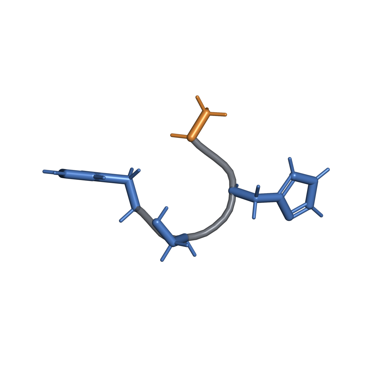 Penggambaran struktur ideal untuk Acetyl tetrapeptide-5