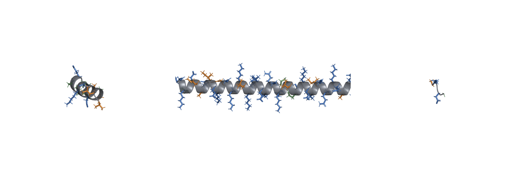 تصوير الهيكل المثالي لـ Fountain of Youth peptide blend
