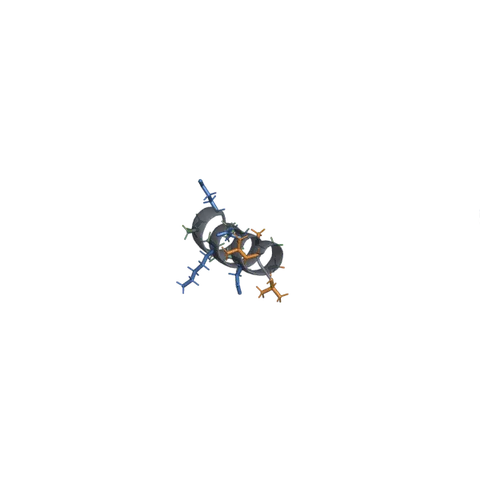Representação de estrutura idealizada para KLOW Peptide Blend: Components, Variants, and Evidence Gaps