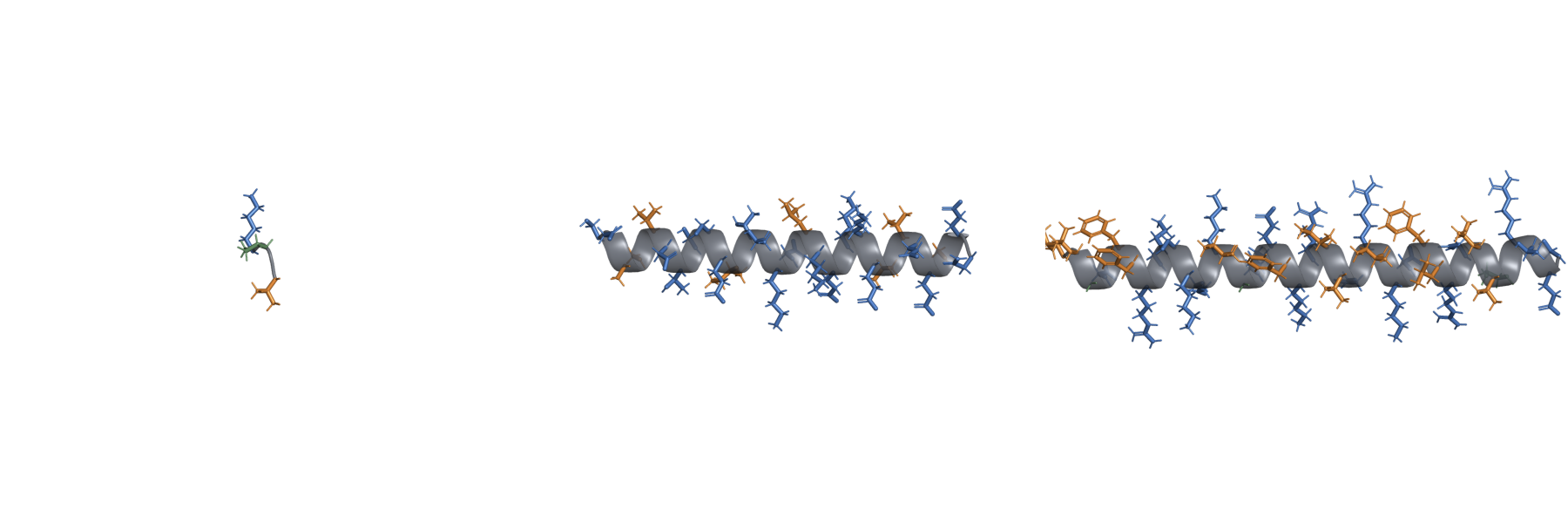 تصوير الهيكل المثالي لـ KPV + Thymosin alpha-1 + LL-37 Triple Immune Blend