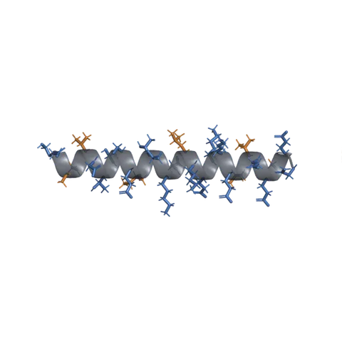 Représentation de structure idéalisée pour KPV + Thymosin alpha-1 + LL-37 Triple Immune Blend