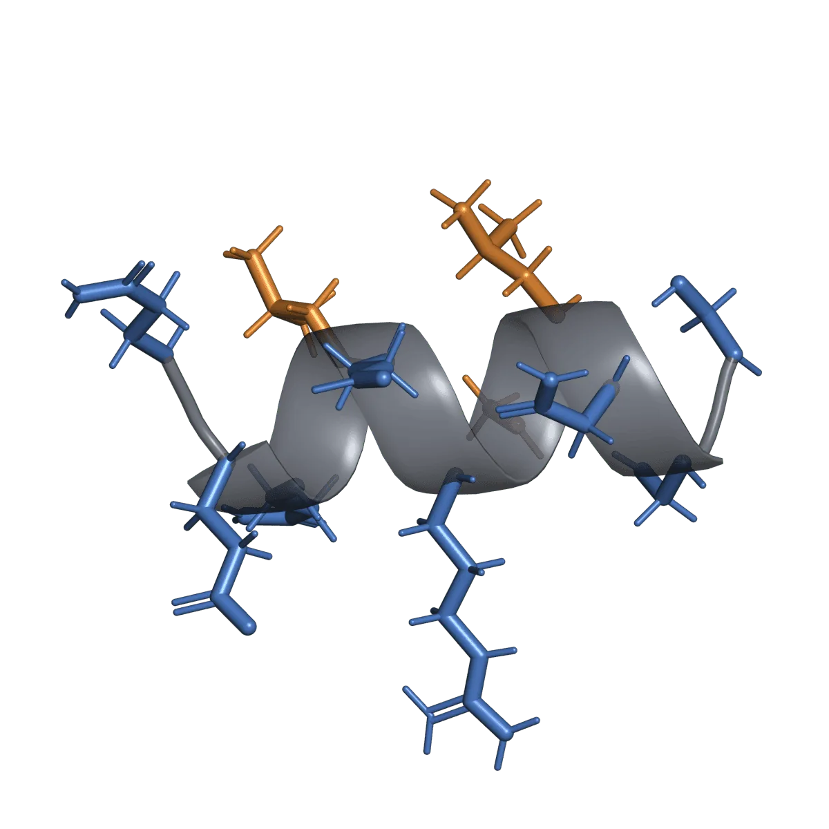 Cibinetide (ARA-290) के लिए आदर्श संरचना चित्रण
