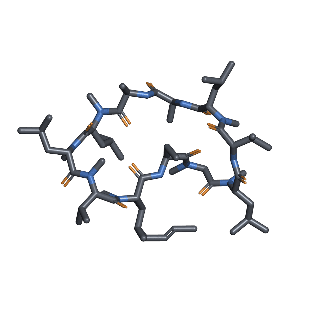 Cyclosporine molecule illustration