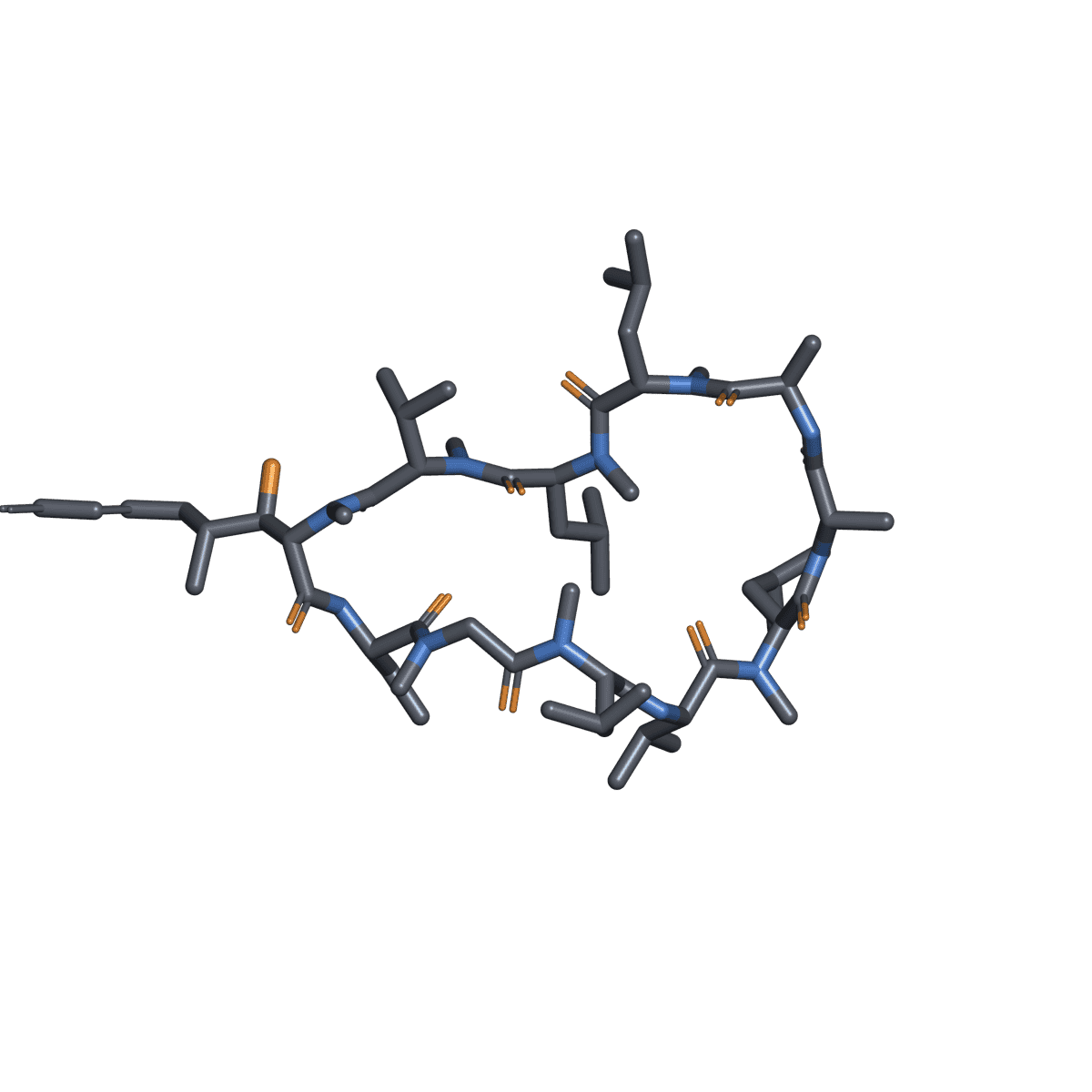 Voclosporin molecule illustration