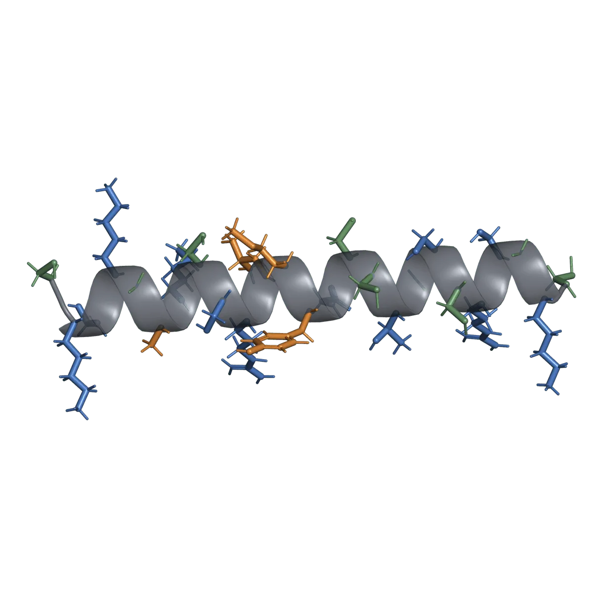 Ziconotide の理想的な構造図